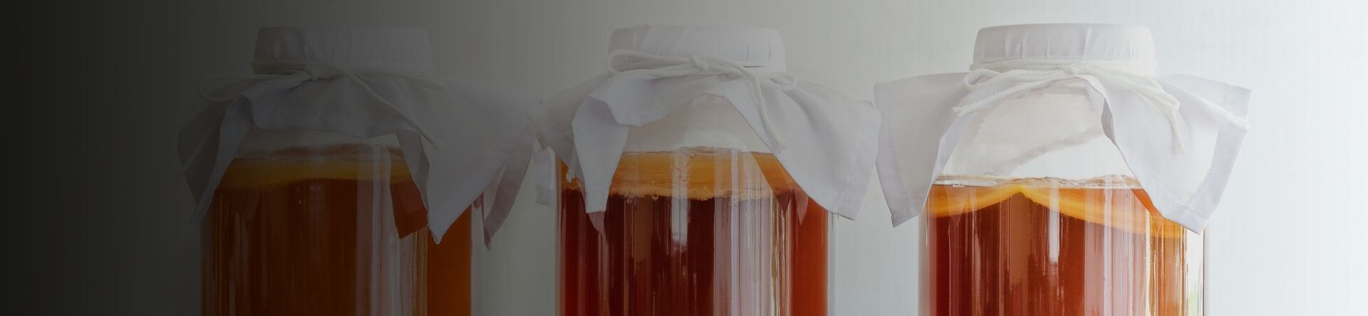 bevanda Kombucha