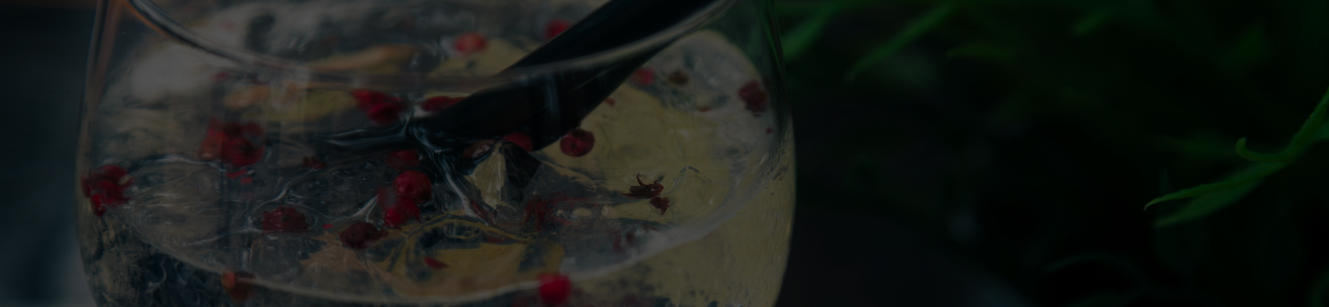 London Dry vs Altri metodi: sfatare i miti sulla produzione del gin 