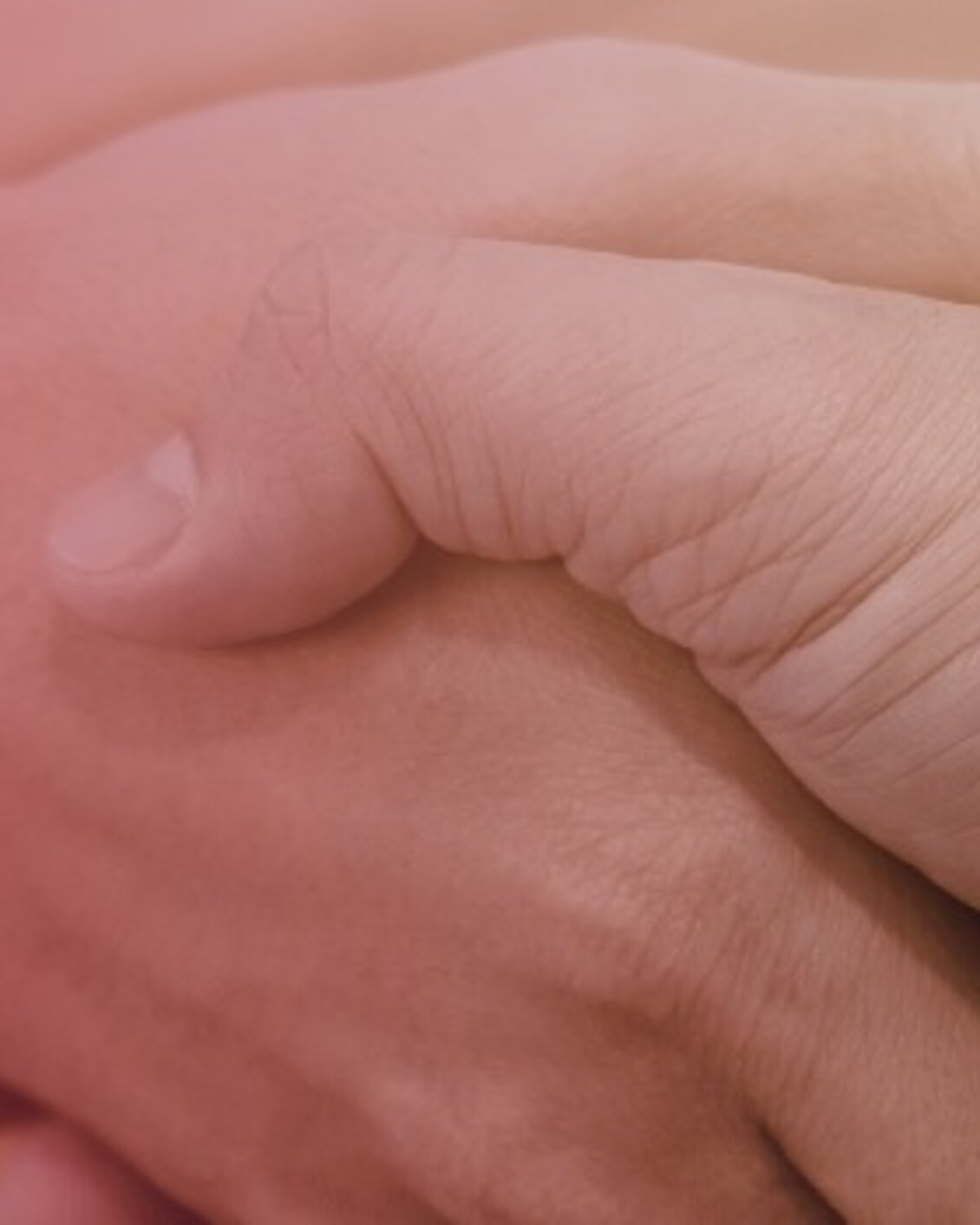 Partner & Collaborazioni